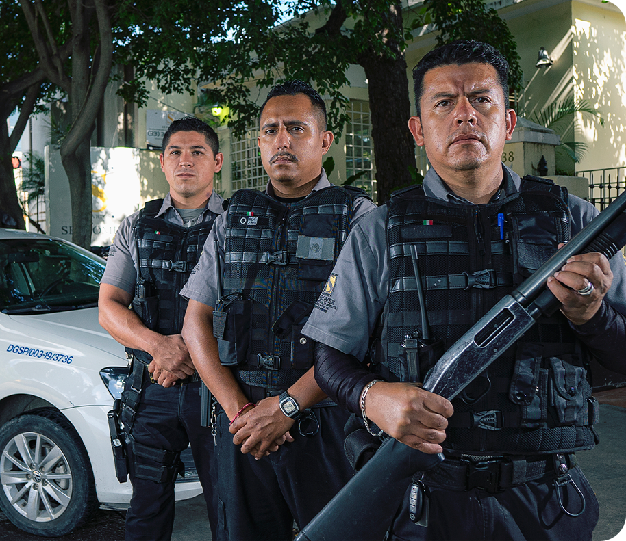 Vehículos y Custodias